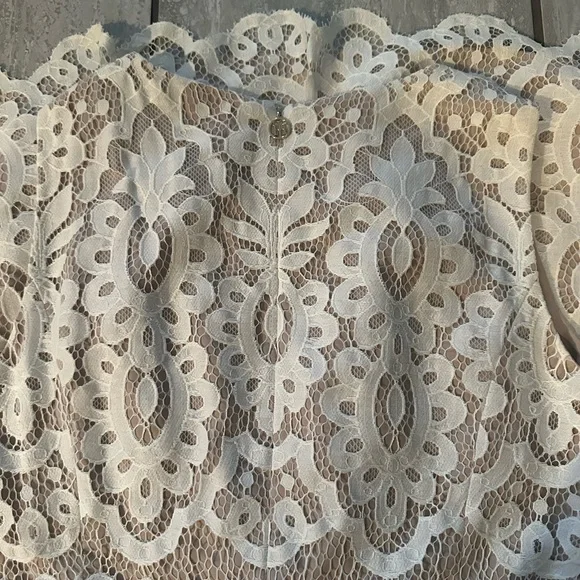 Size 14 Tommy Hilfiger lace overlay beige dress. - Picture 4 of 4